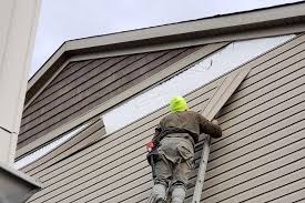 Best Custom Siding Design  in USA